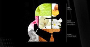 Karl Lagerfeld debut perfume