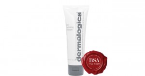 Dermalogica Skin Hydrating Masque