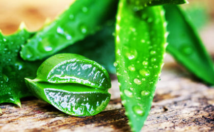 Why aloe is the new black