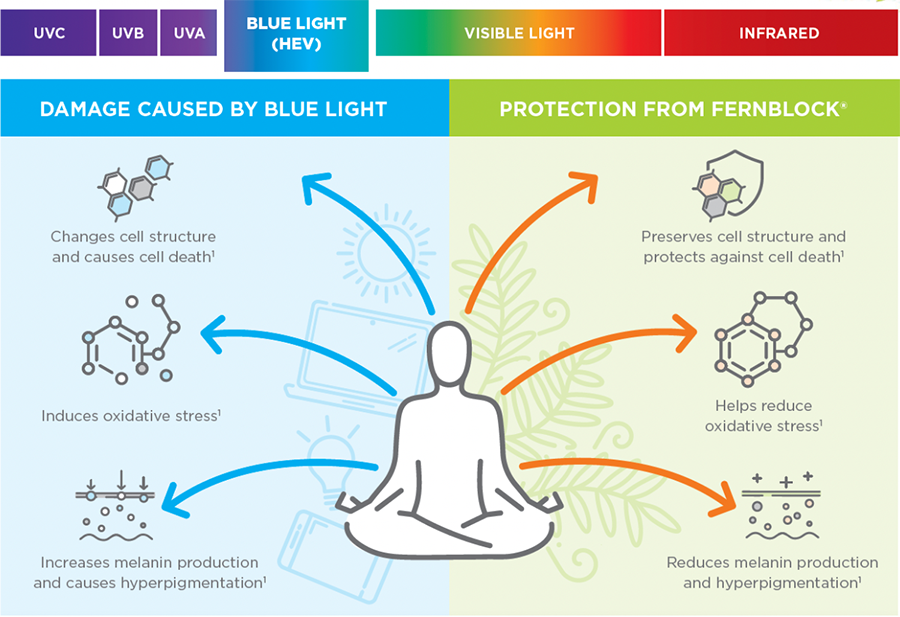 How visible and blue light impacts our skin 2