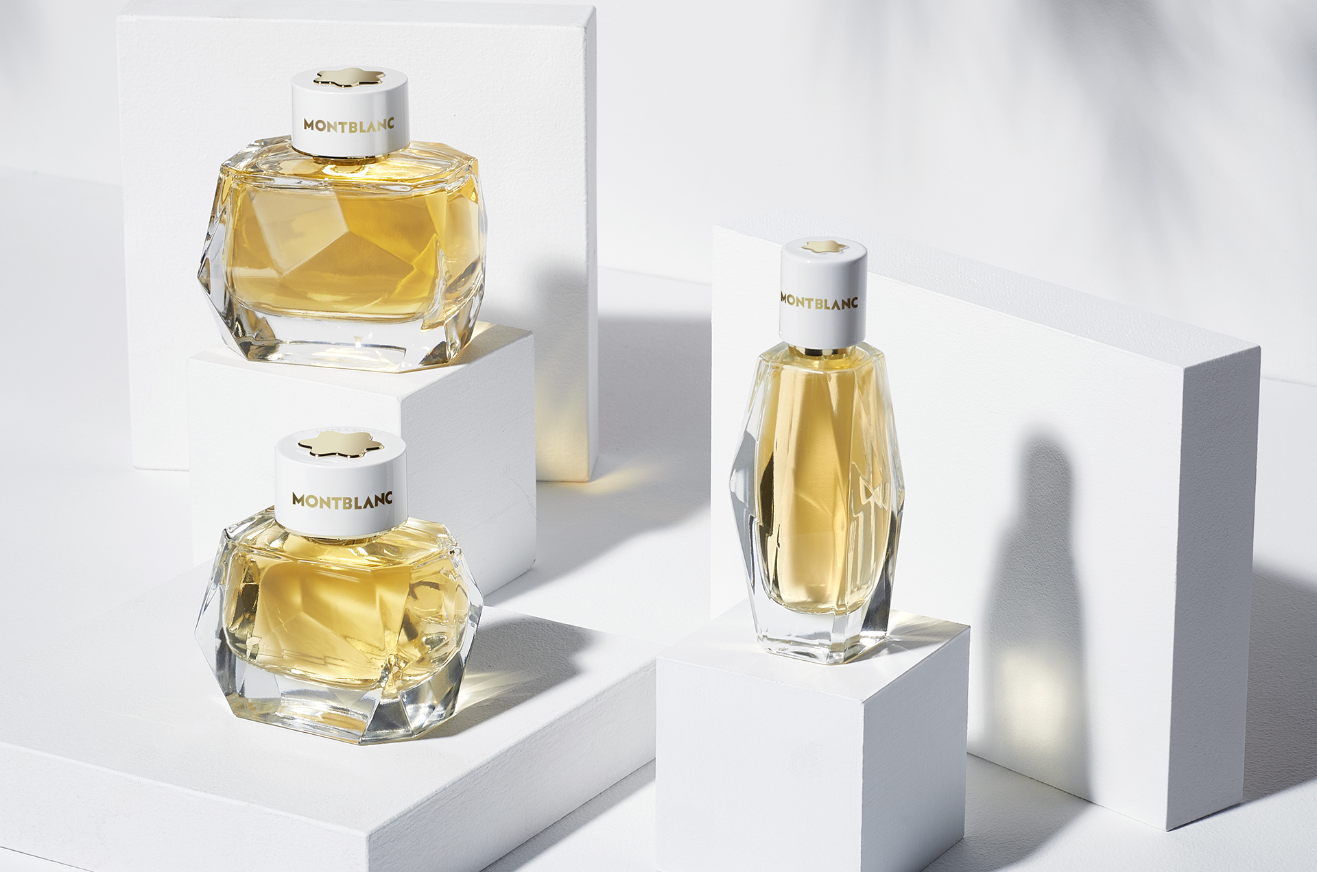 Win a Montblanc Signature Absolue fragrance gift set - Beauty South Africa
