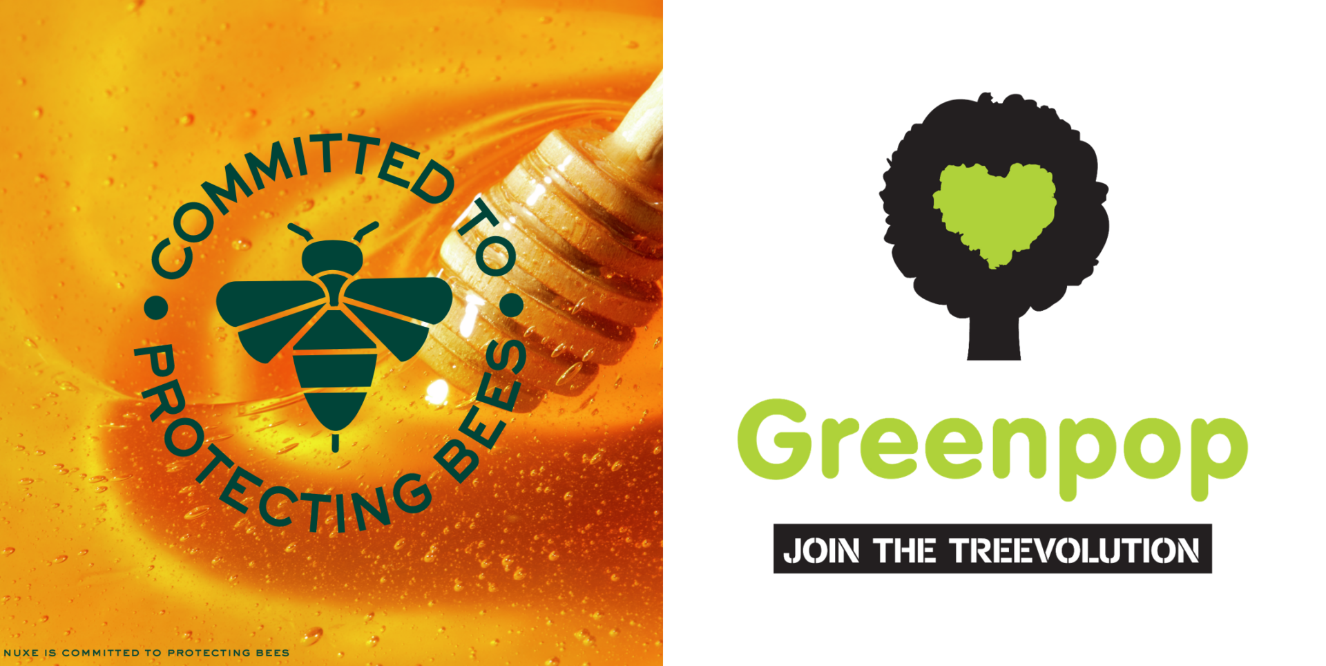 greenpop promotional image