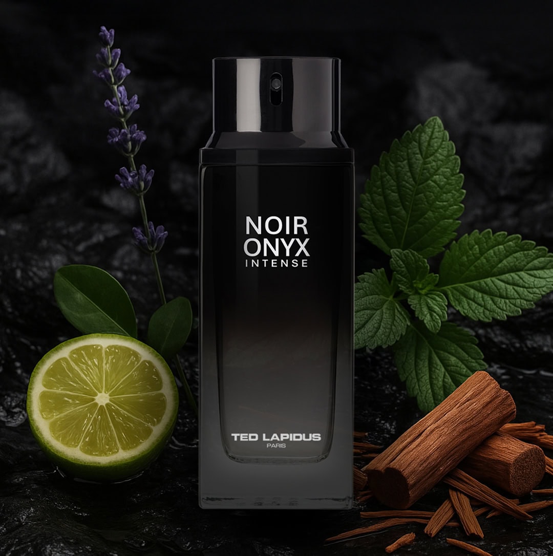 Ted Lapidus Noir Onyx Intense