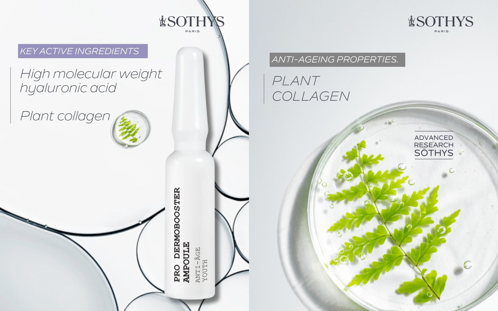 Sothys Dermo Booster skincare