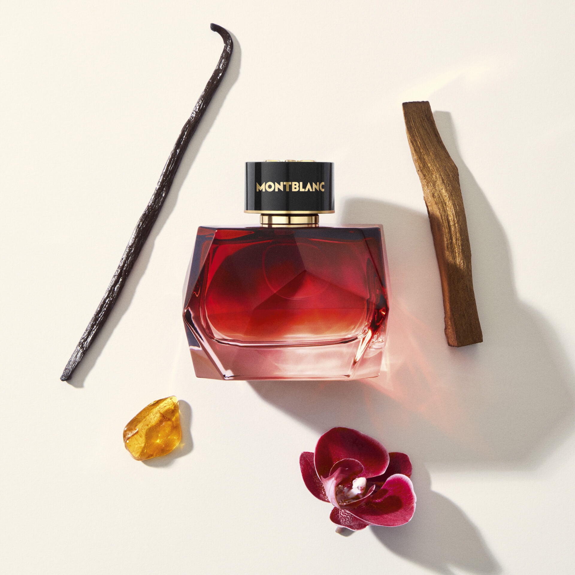 montblanc signature elixir perfume and ingredients