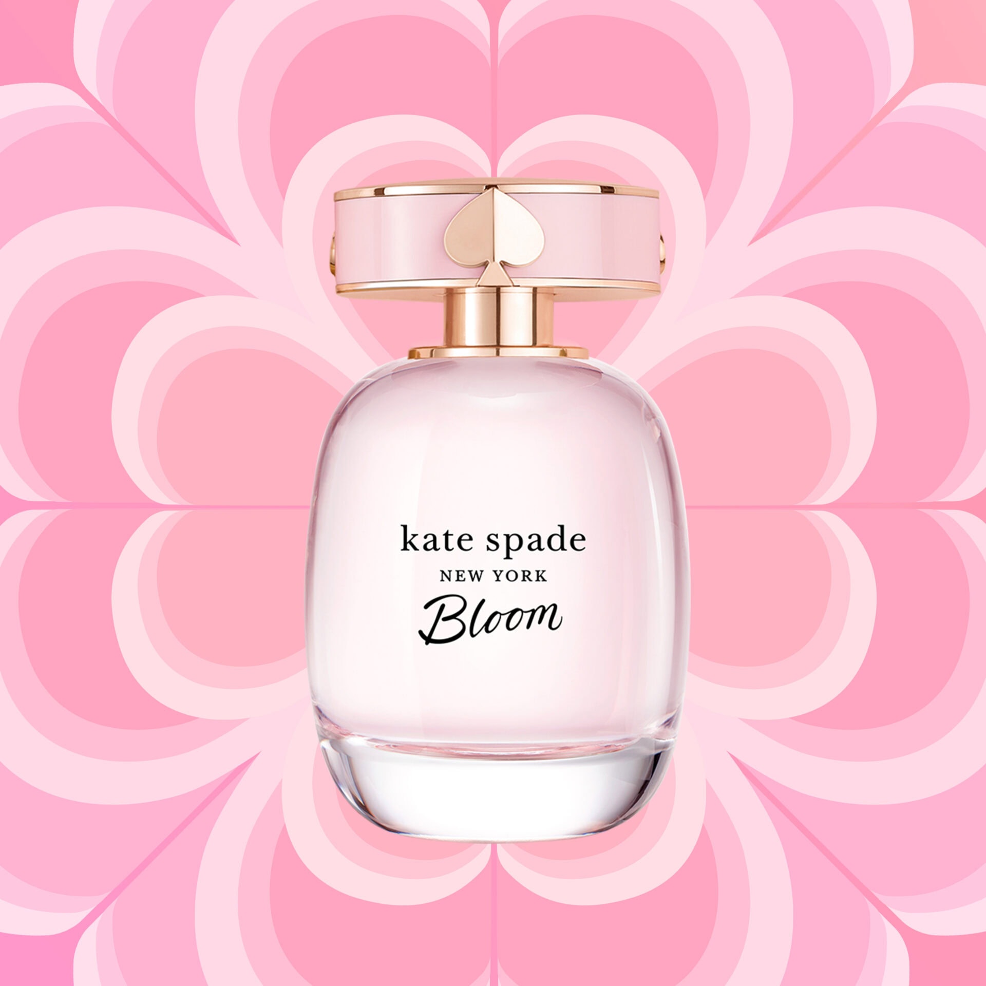 kate spade new york bloom fragrance