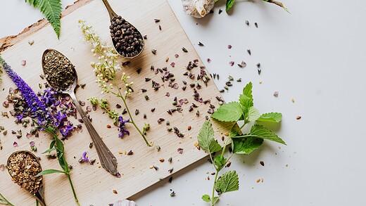 adaptogens